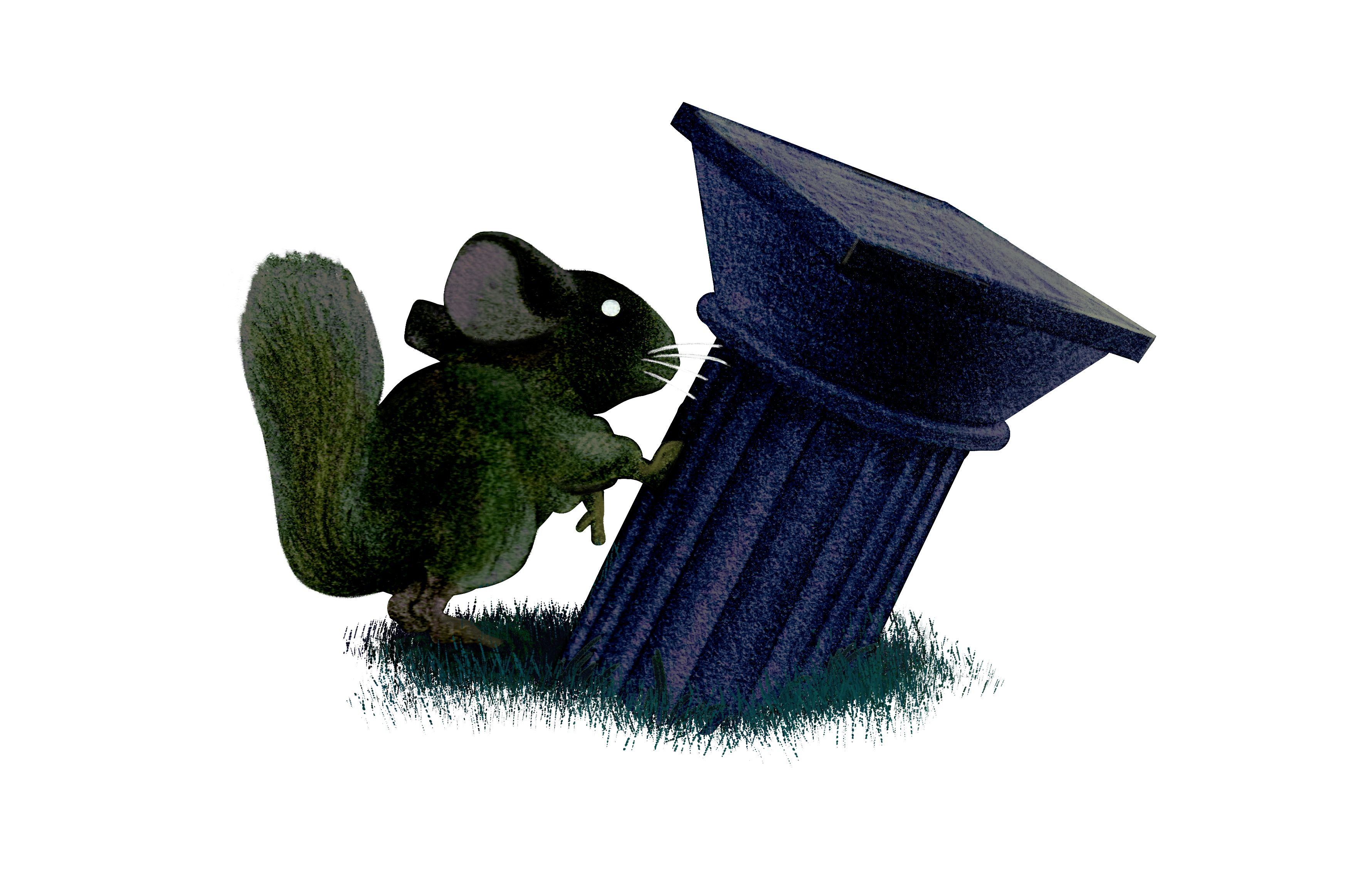 logo_chinchilla